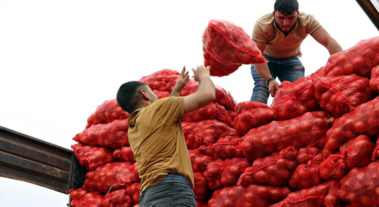 Kaç ton patates ve soğan dağıtıldı?