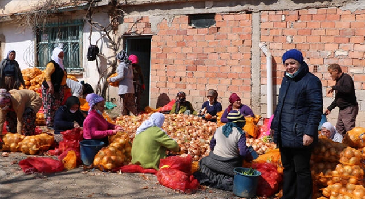 Mine Söğüt: Patates soğan, güle güle Erdoğan!