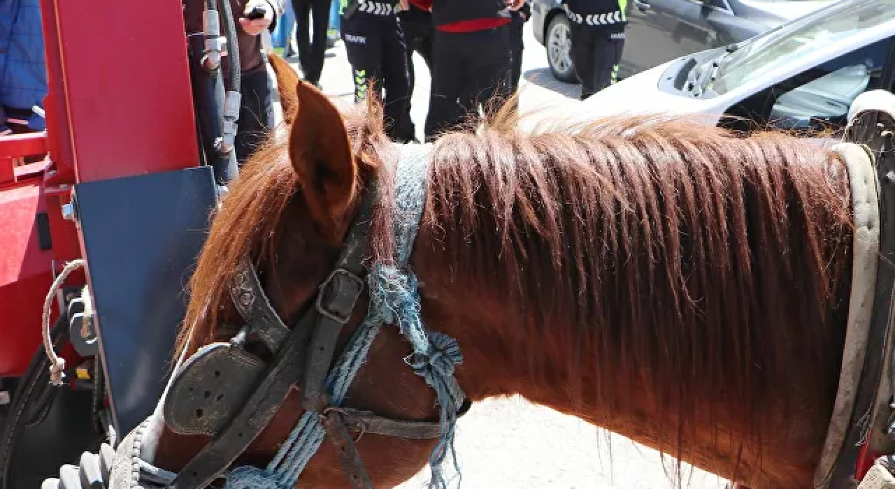 Sahibinden kaçan at trafiğe girdi, çok sayıda araçta hasara neden oldu