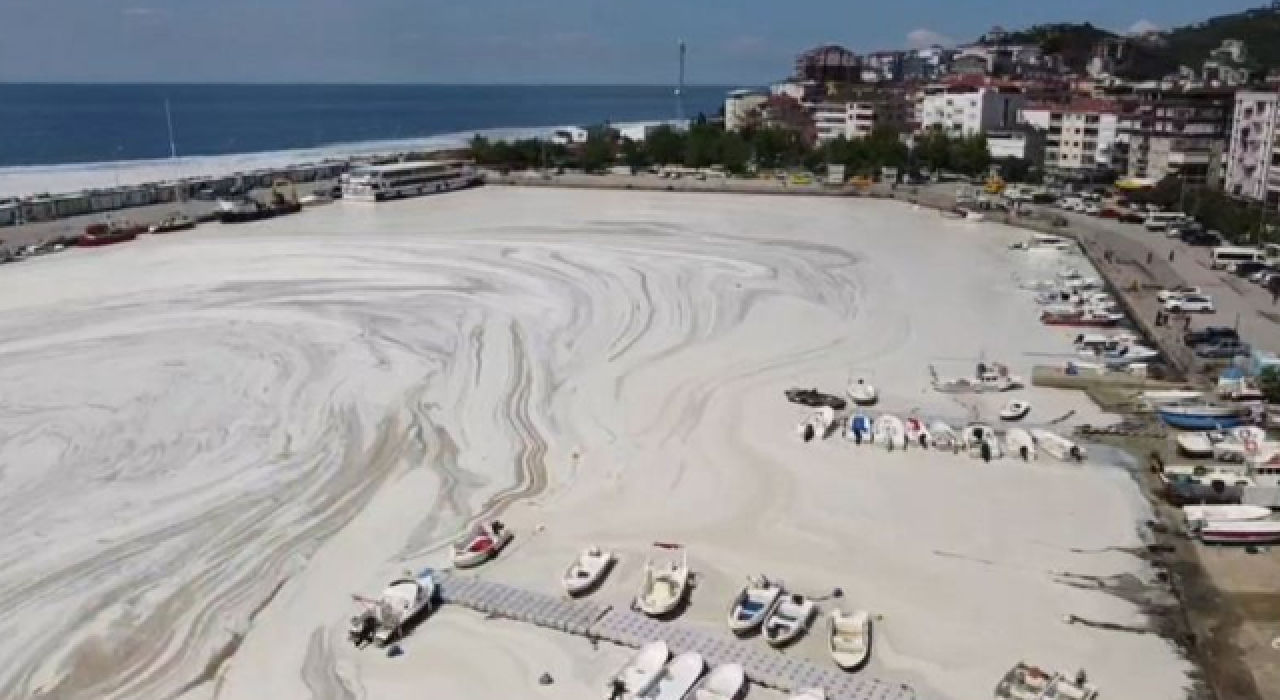 Marmara Denizi, "deniz salyası"yla boğuşuyor