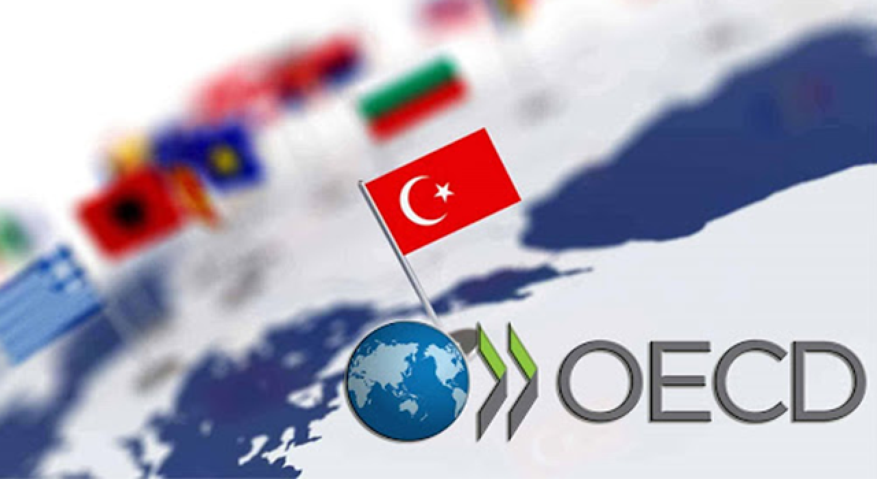 OECD'den Türkiye'ye salgın desteği eleştirisi