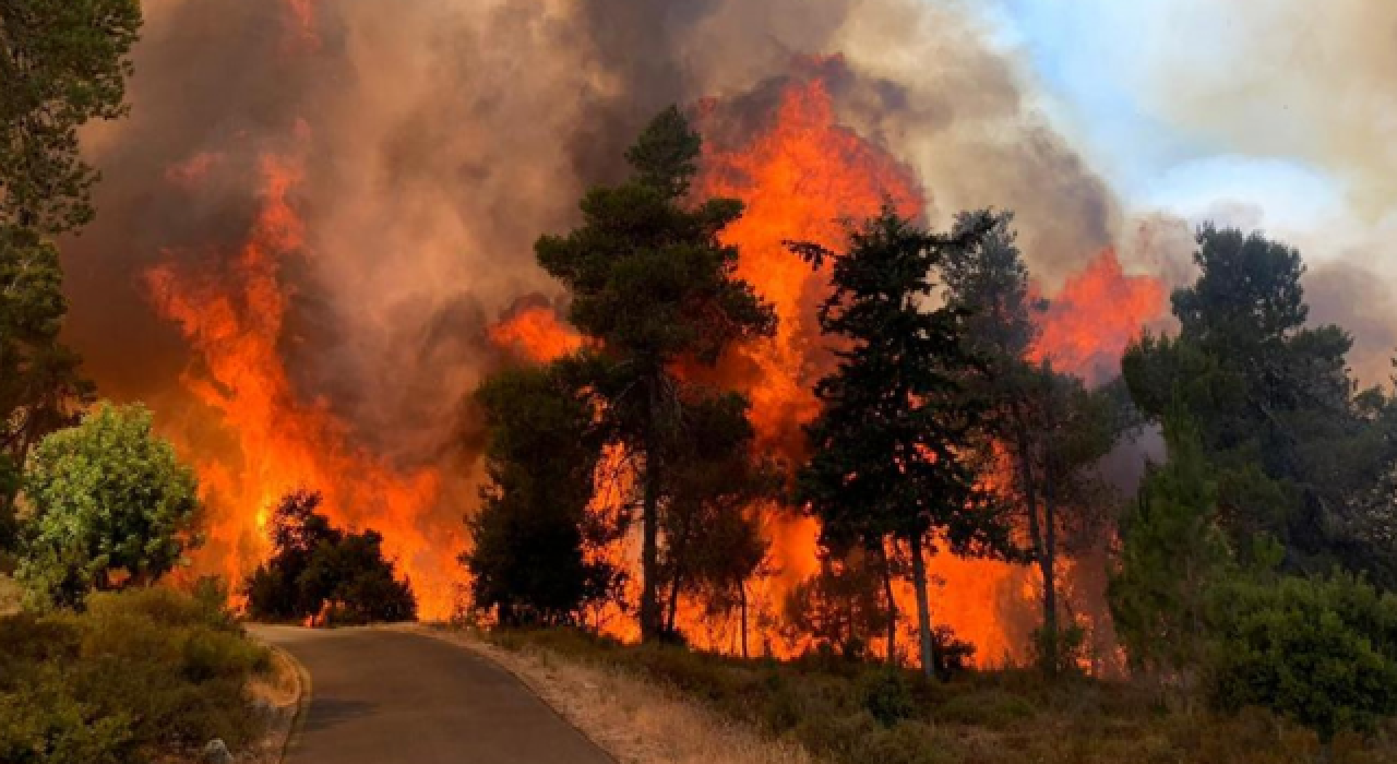 Kudüs'te yangın! 2 bin 650 dönüm arazi kül oldu