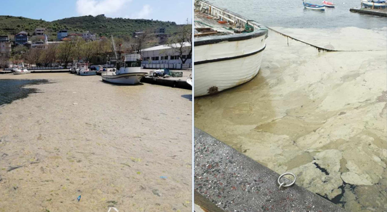 "Marmara Denizi'ndeki kirlilik, bulaşıcı hastalıklara yol açabilir"