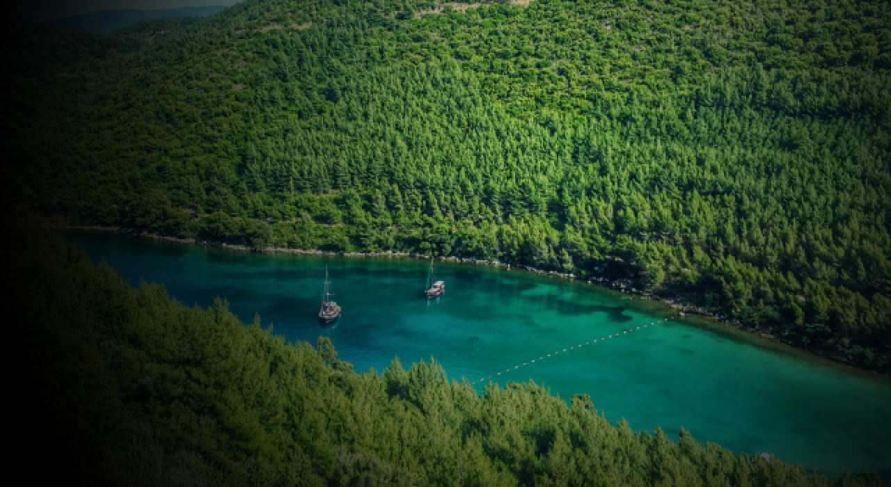 Memleketin özeti bu davada saklı!