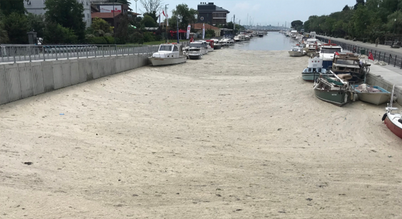 Müsilajla kaplanan yerler arasında Kurbağalıdere de eklendi