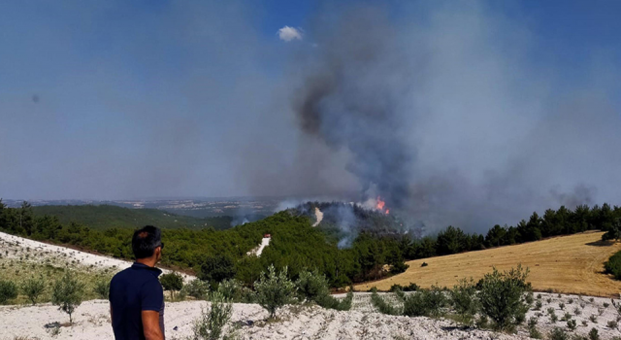 Manisa'daki orman yangınları kontrol altına alındı