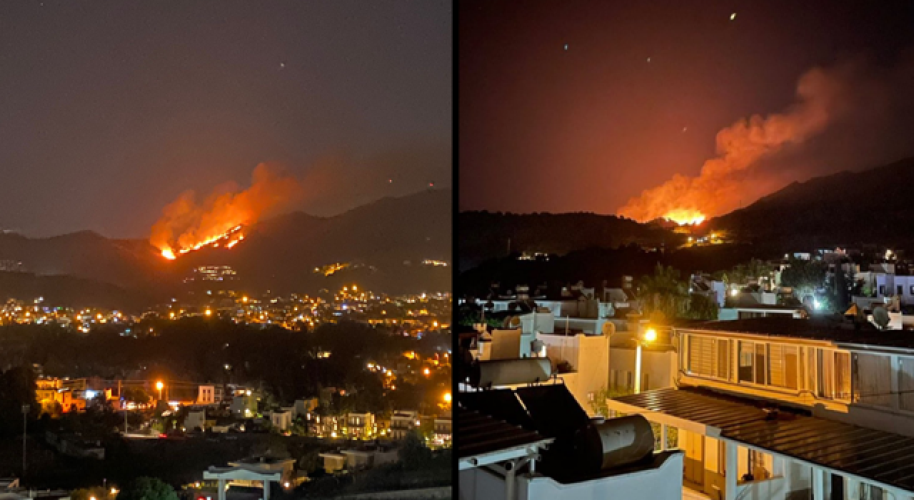 Bodrum Gümüşlük'te otluk ve sazlık alanda yangın