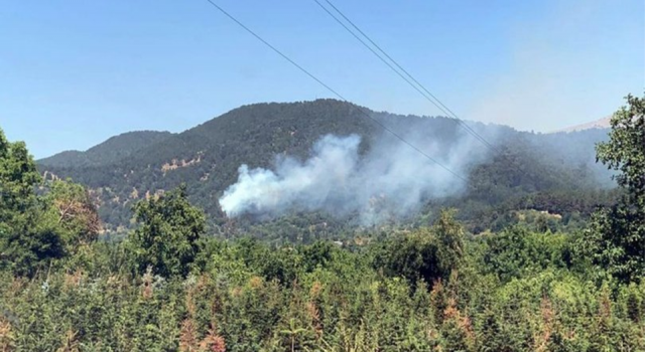 İzmir Ödemiş'te orman yangını