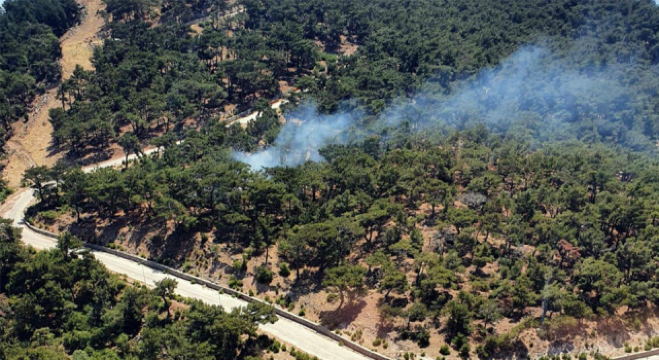 İzmir'de ormanlık alanda yangın; havadan ve karadan müdahale ediliyor