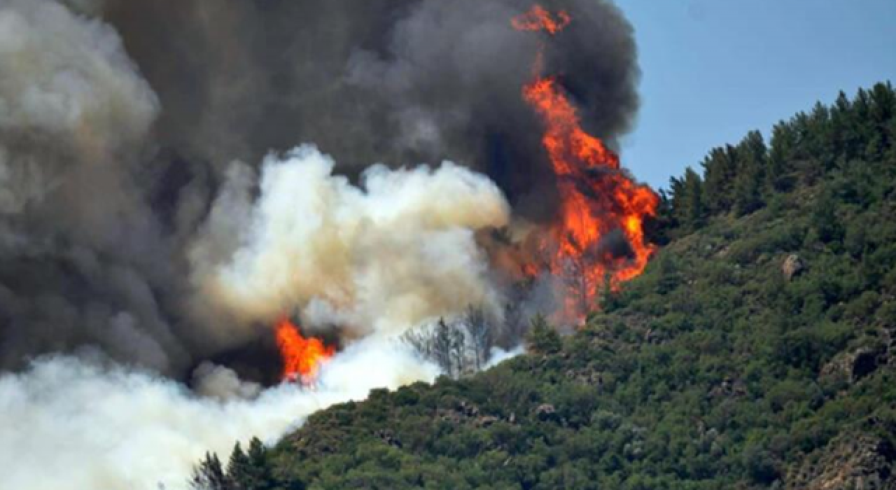 Muğla'da çıkan yangınla ilgili gözaltına alınan zanlı tutuklandı