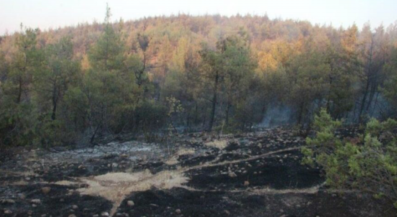 "Orman yakmak için keşif yapan 2 PKK’lı yakalandı" haberine valilikten yalanlama