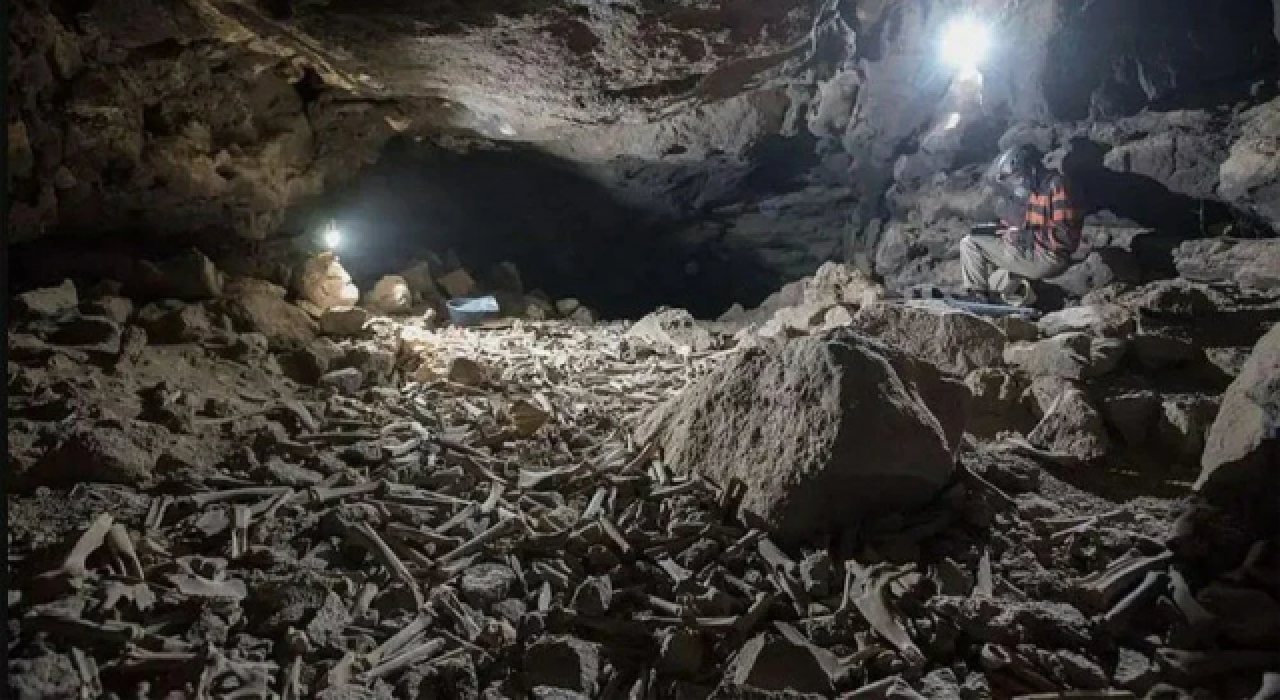 Mağaradaki  binlerce insan ve hayvan kemiğinin gizemi çözüldü