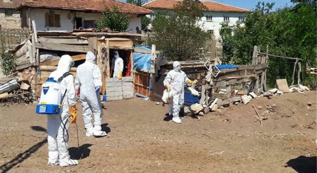 Tokat'ta kuş gribi şüphesi: 200 hayvan itlaf edildi