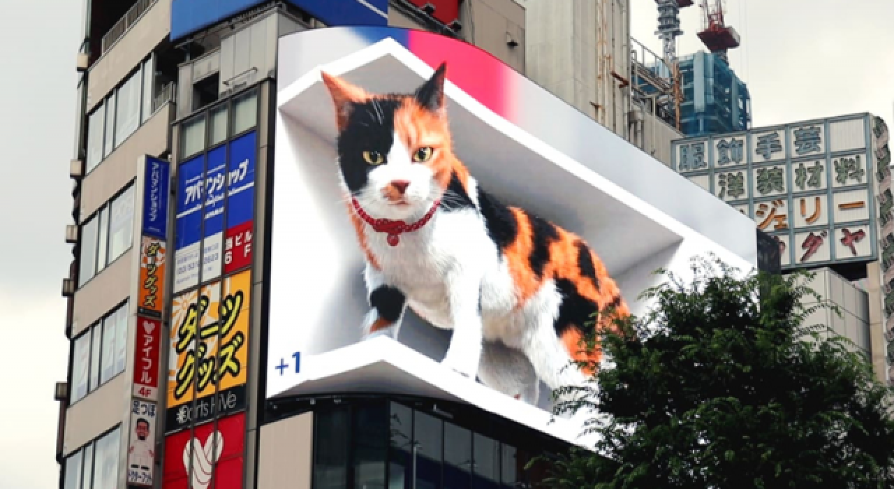 Tokyo'nun yeni gözdesi 3 boyutlu dev bir kedi