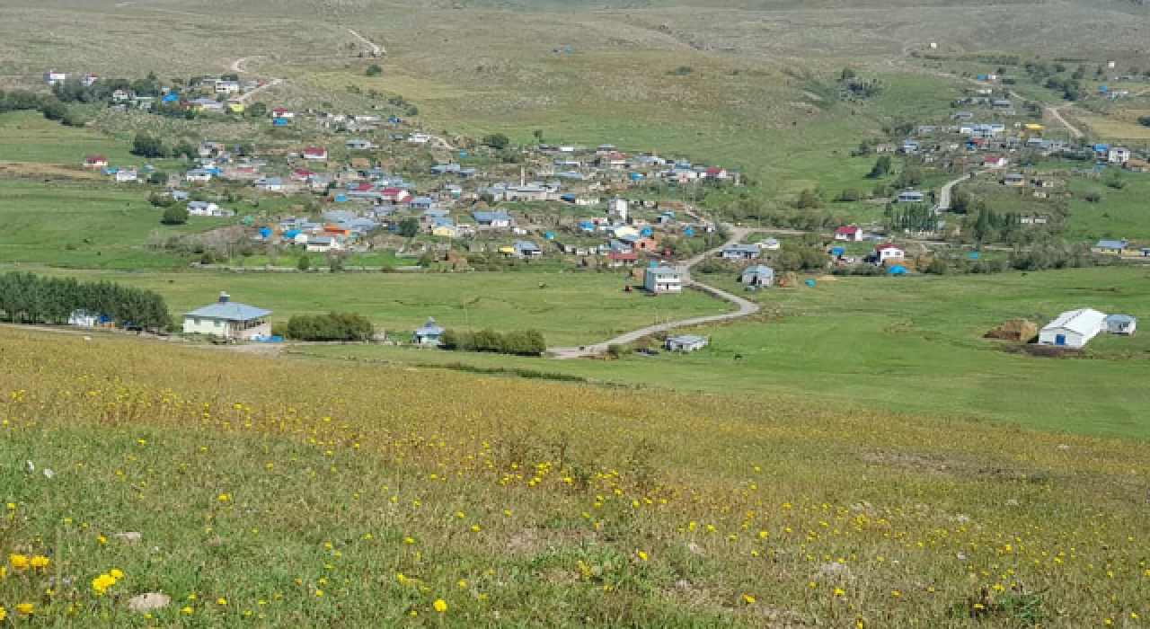 Ardahan'da 4 köy karantinaya alındı