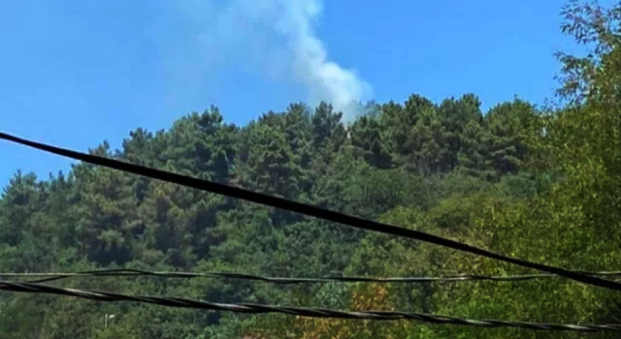 Beykoz'da ormanlık alanda yangın