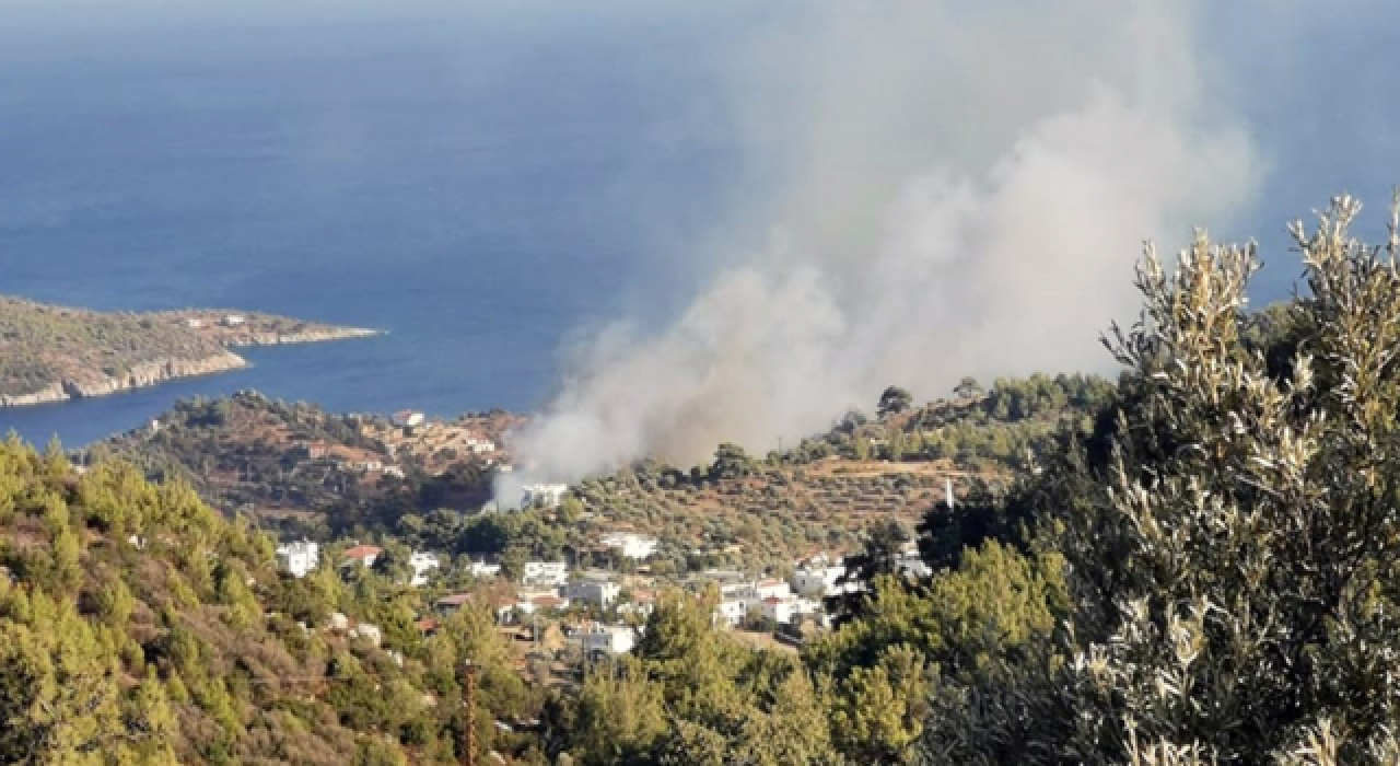 Bodrum'da orman yangını!