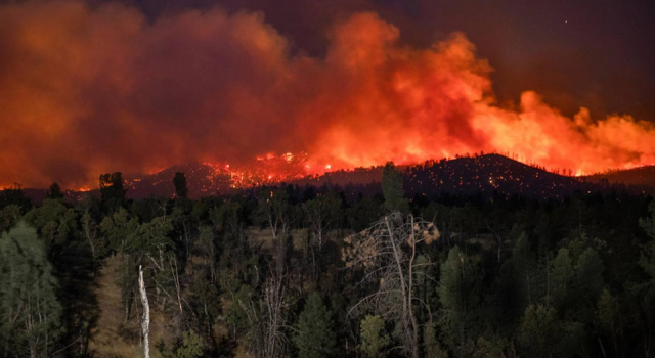 California'da orman yangını 14 gündür devam ediyor!