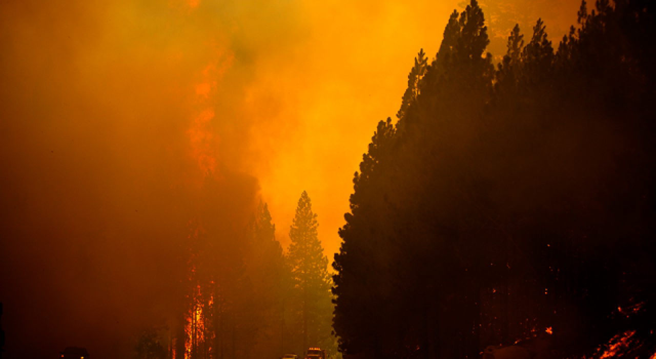 California'daki "Caldor" yangınında 756 kilometrekare alan tahrip oldu!