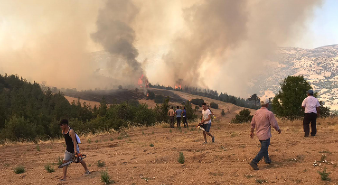 Denizli'de de yangın çıktı: 4 ilde 9 yangın devam ediyor