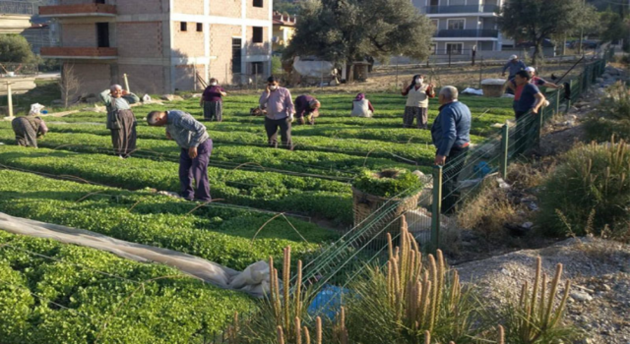 Denizli'de susuz kalan çiftçiler eylem düzenledi