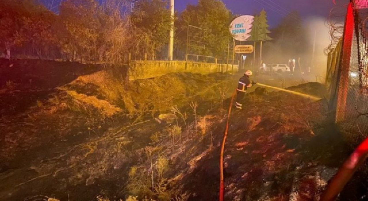 Diyarbakır'da Kent Ormanı yangınıyla ilgili gözaltına alınan 4 çocuk tutuklandı