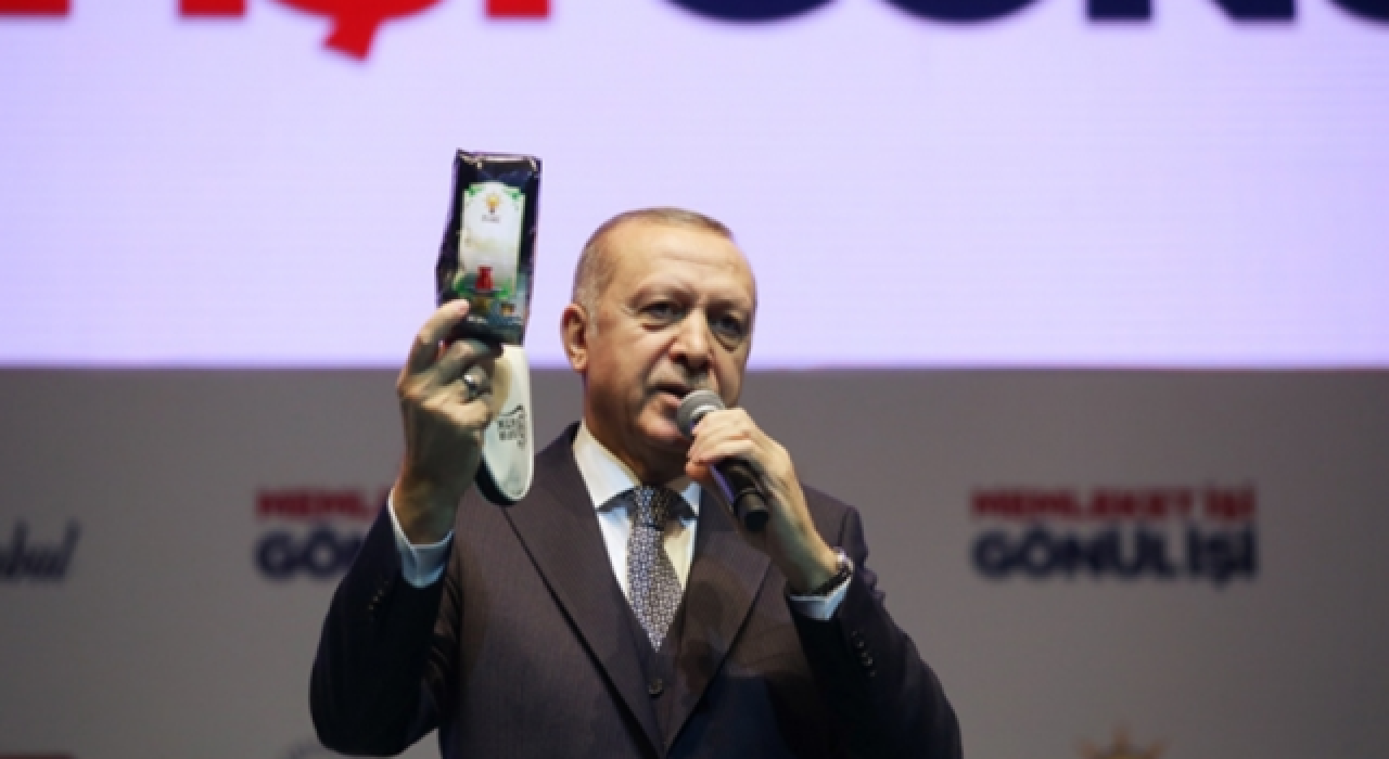 Erdoğan'ın felaket bölgelerinde "keyif çayı" fırlattığı iller