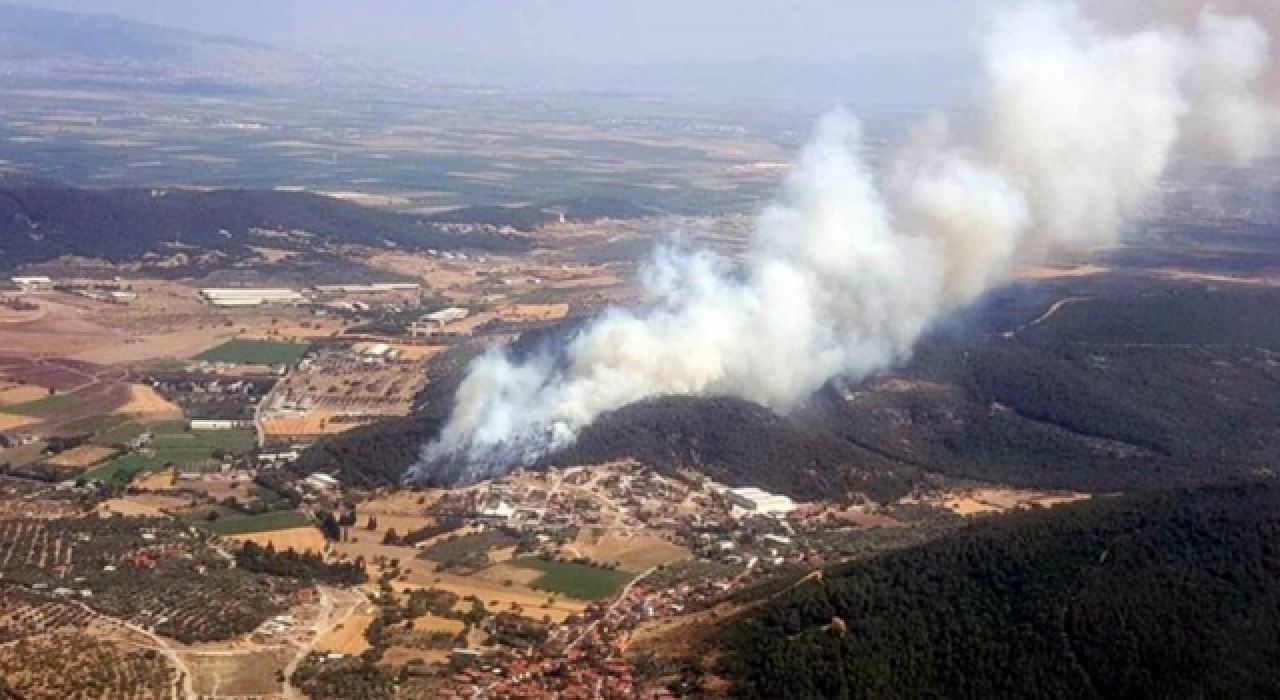 İzmir'de ormanlık alanda  yangın!