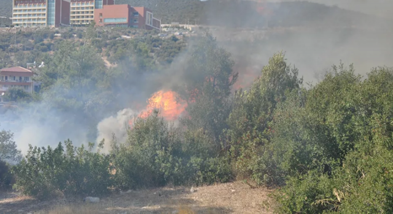 Milas'ta yol kesip kimlik soran kişiler hakkında soruşturma