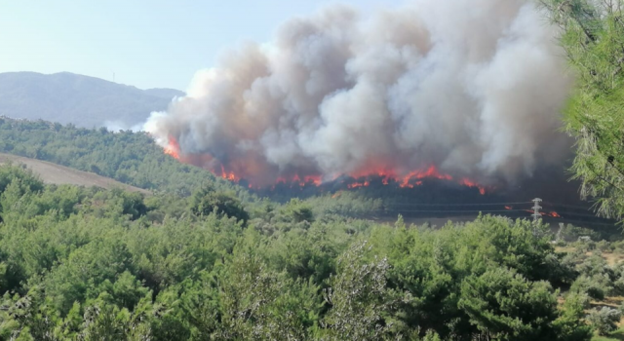 Muğla Dalaman havaalanı yakınlarında yangın!