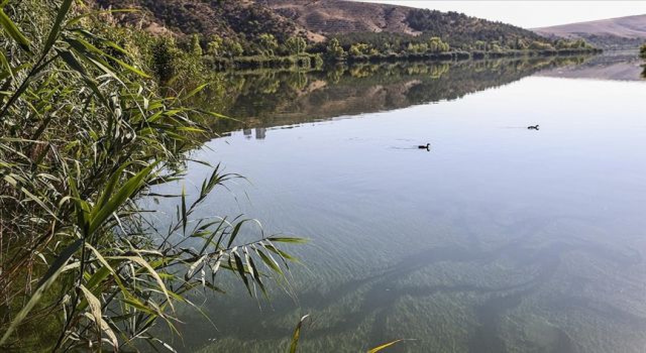 ODTÜ, Eymir Gölü'ndeki aşırı siyanobakteri artışını anbean takip ediyor