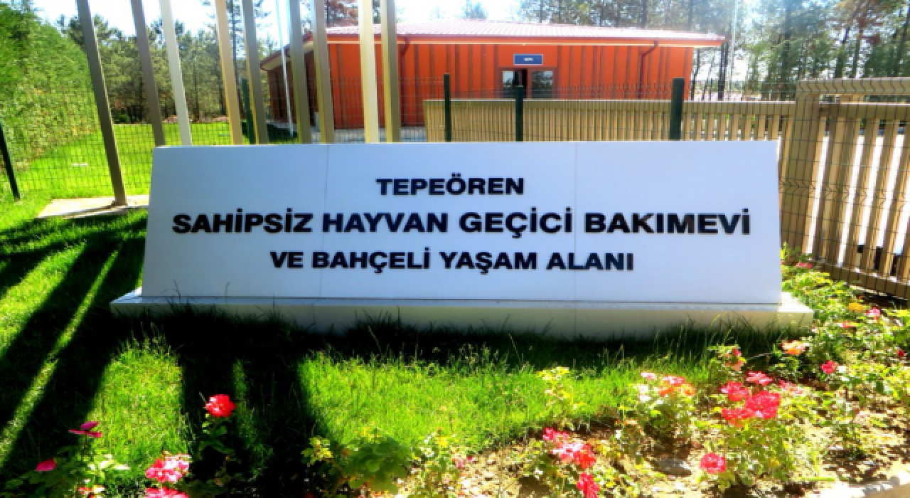 "Tepeören Sahipsiz Hayvan Geçici Bakımevi ve Yaşam Alanı yakınlarında açılan bir çukur içinde onlarca hayvanın cesedi bulundu"