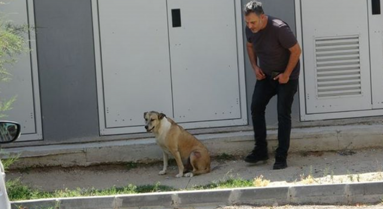 Zafer "Köpük" köpeğin! "Birlikte yaşamayı öğreneceğiz"