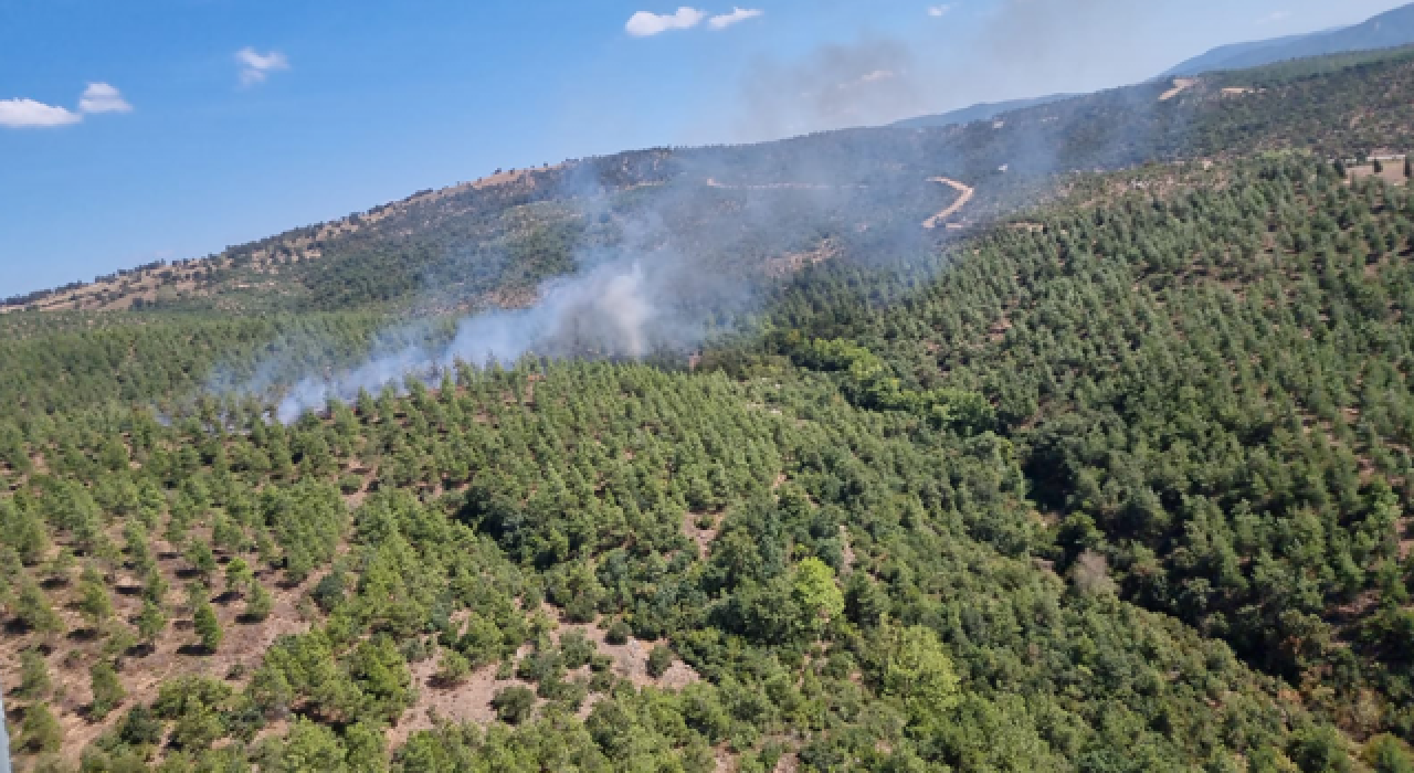 Balıkesir'de ormanlık alanda çıkan yangın kontrol altına alındı