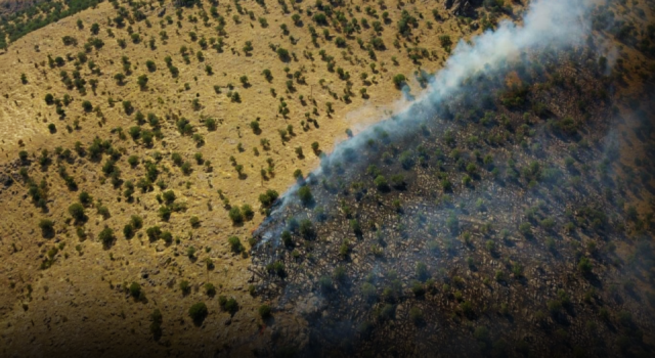 Bitlis yangınında 40 hektar alan zarar gördü