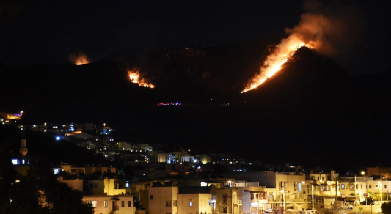 Bodrum'da makilik alanda yangın çıktı, tarım arazilerine sıçradı!