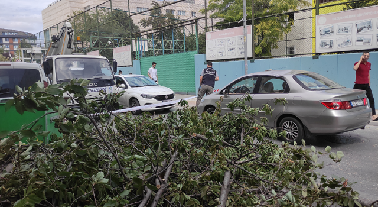 İstanbul Bakırköy'de şiddetli rüzgarın etkisiyle ağaç devrildi! 1 kişi yaralandı