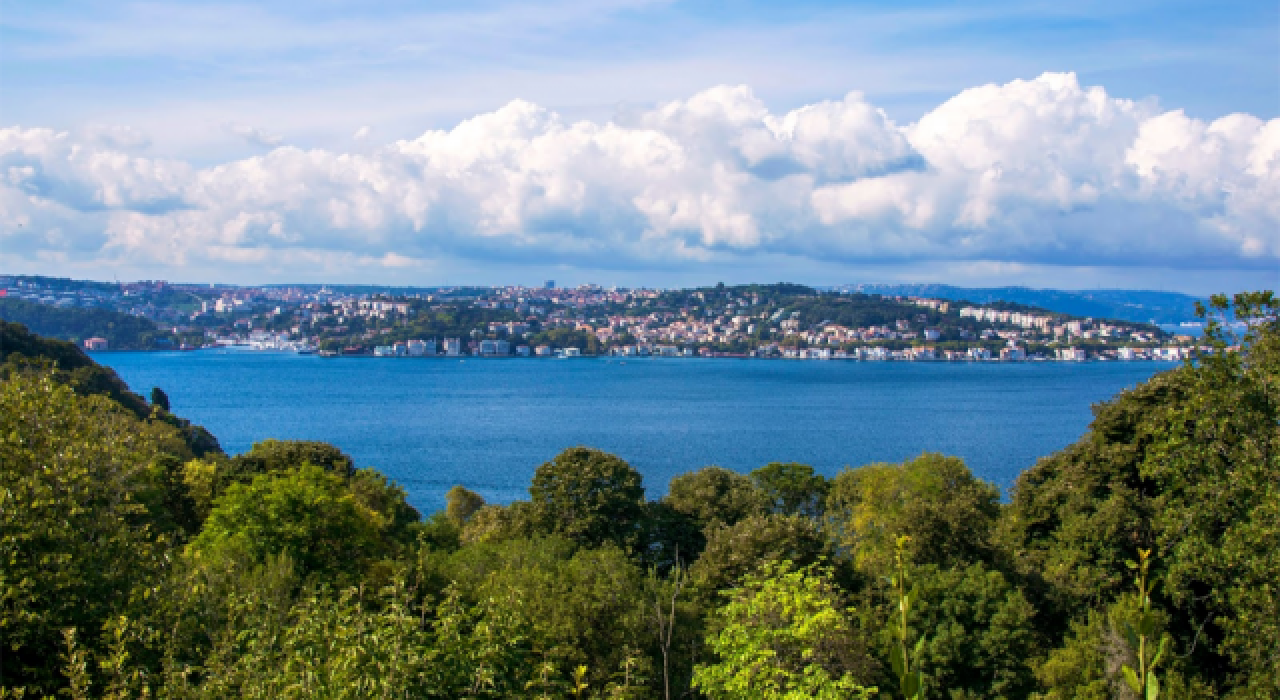 İstanbul'da boğaz manzaralı orman talanı!