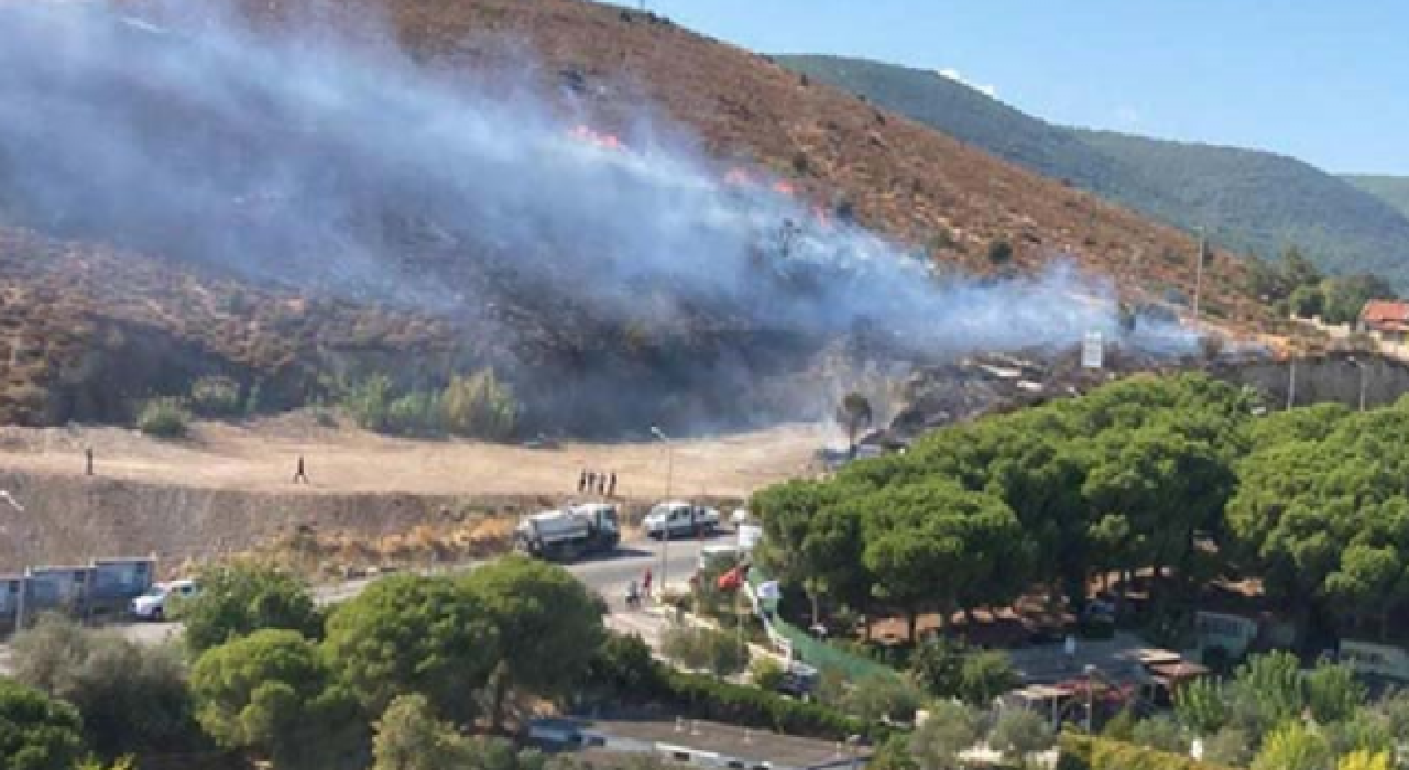 İzmir'in iki ilçesinde orman ve makilik yangını