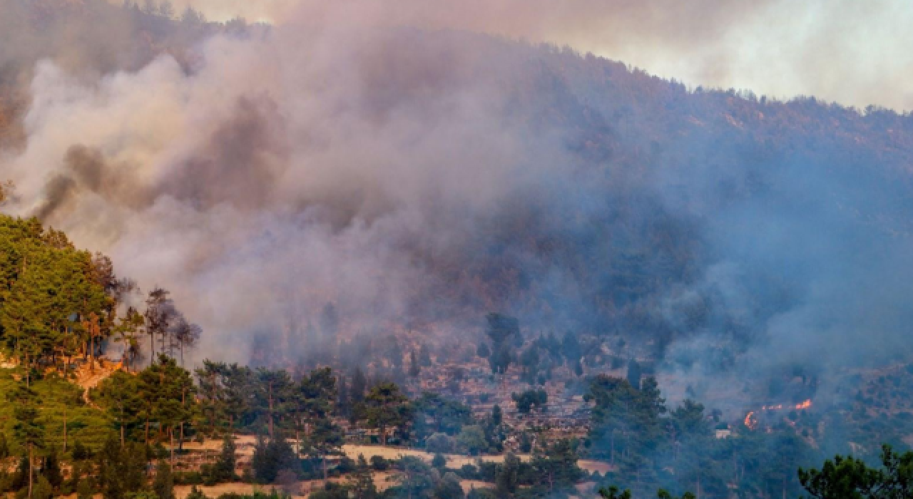 Muğla'da 13 noktada çıkan yangınlar kontrol altına alındı