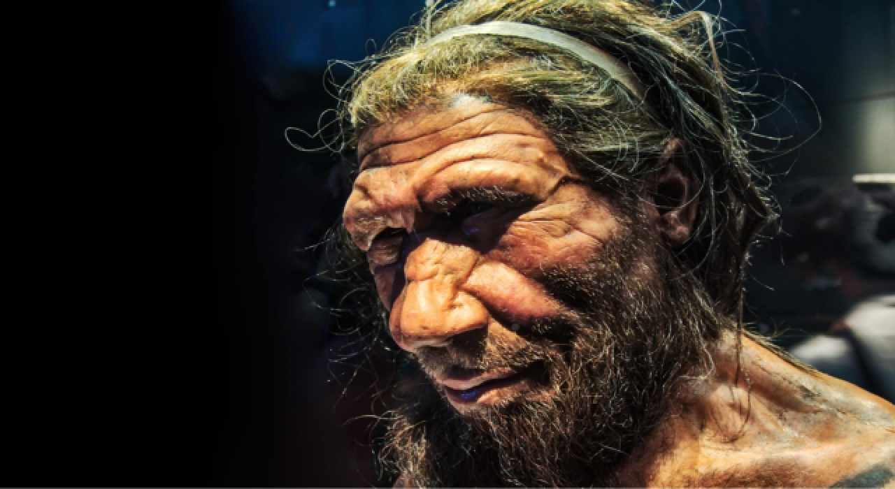 Neandertallere ait 60 bin yıllık kalıntılar bulundu