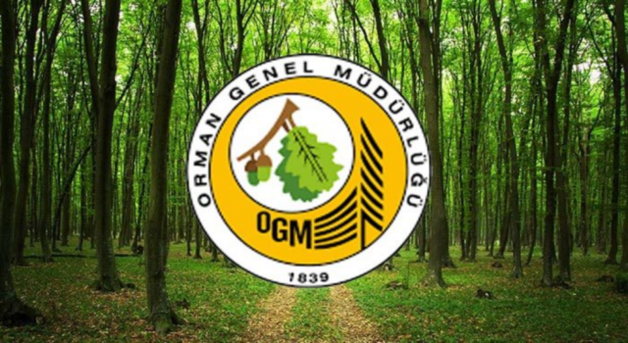 OGM: Bugün çıkan 8 orman yangını kontrol altına alındı