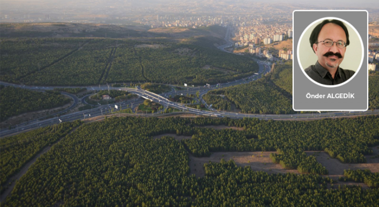 Önder Algedik yazdı: Acılar, anılar ve ODTÜ ormanı