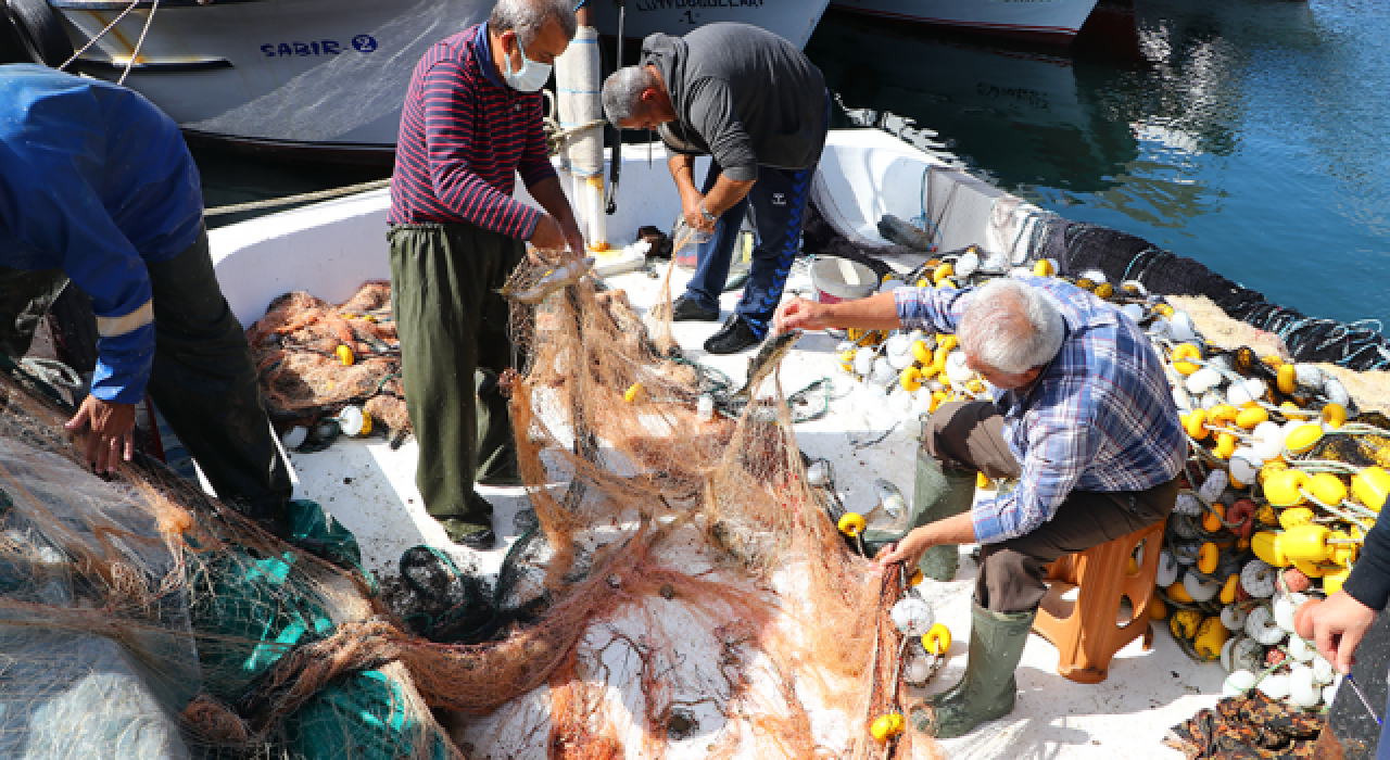 Marmara'da lüfer bolluğu yaşanıyor, fiyatı 30-35 liraya kadar düştü