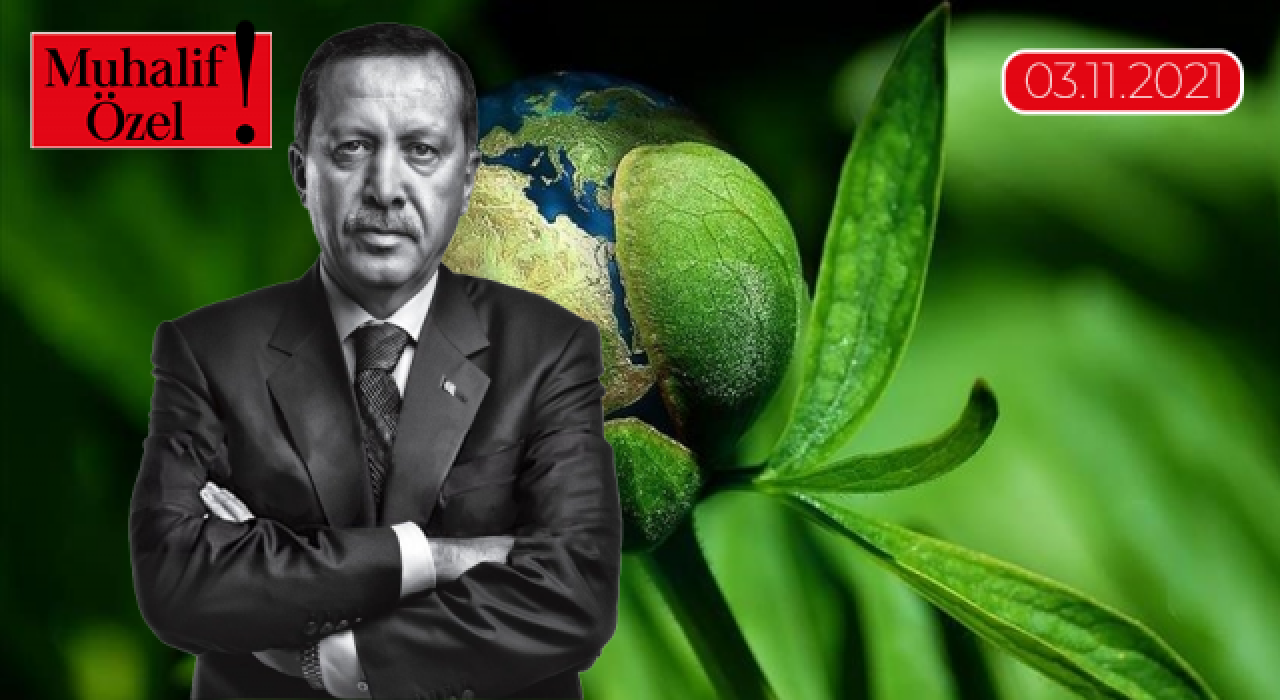 Erdoğan’ın Glasgow’a gitmeyişi, yatırımcıyı harekete geçirdi!