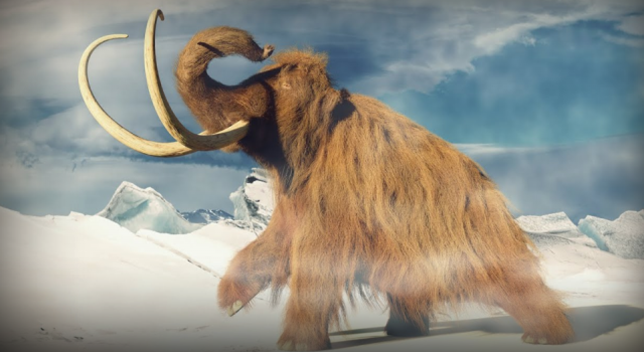 Taş ocağında mamut fosilleri keşfedildi