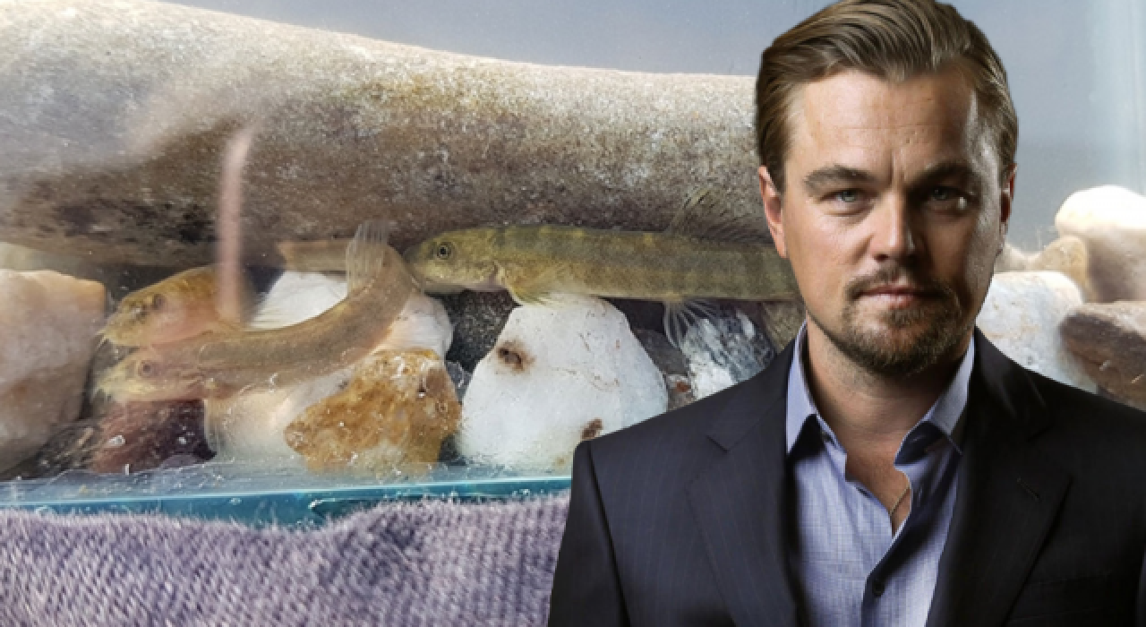 Batmanlılar, Leonardo DiCaprio'nun bu paylaşımını konuşuyor