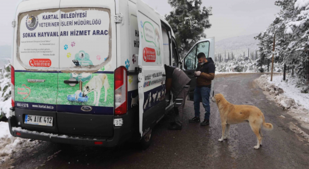 Kartal Belediyesi, kar yağışında sokak hayvanlarını unutmadı