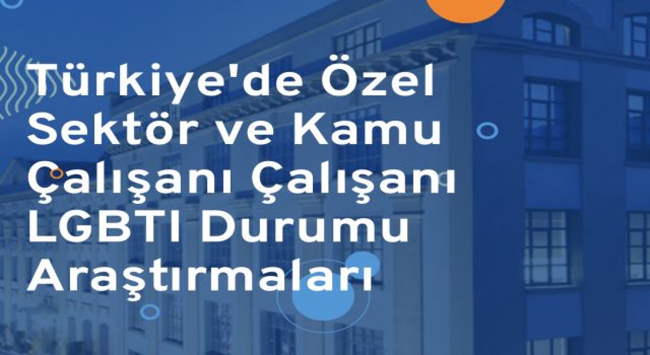 Özel sektör ve kamu çalışanı LGBTİ+’ların Durumu