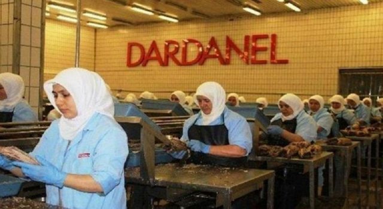 Dardanel, "Jazzy" kedi-köpek maması ile sektörde